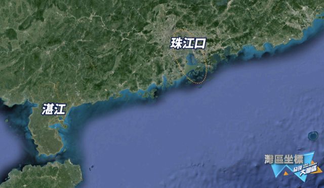 寻找中华白海豚｜发现大湾区(图4)