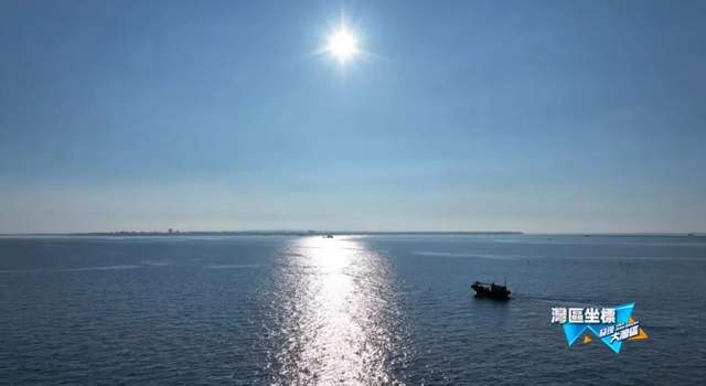 寻找中华白海豚｜发现大湾区(图6)