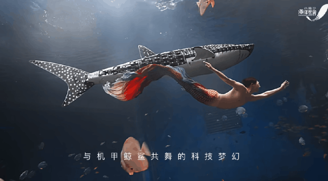 调查丨不如看动物世界？海洋馆养“假鲸鲨”陷争议 “蓝色”生意难做龙头企业四年巨亏22亿元(图3)