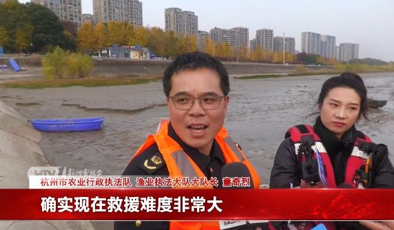 令人揪心！这次出现在杭州市区……紧急出动！(图4)