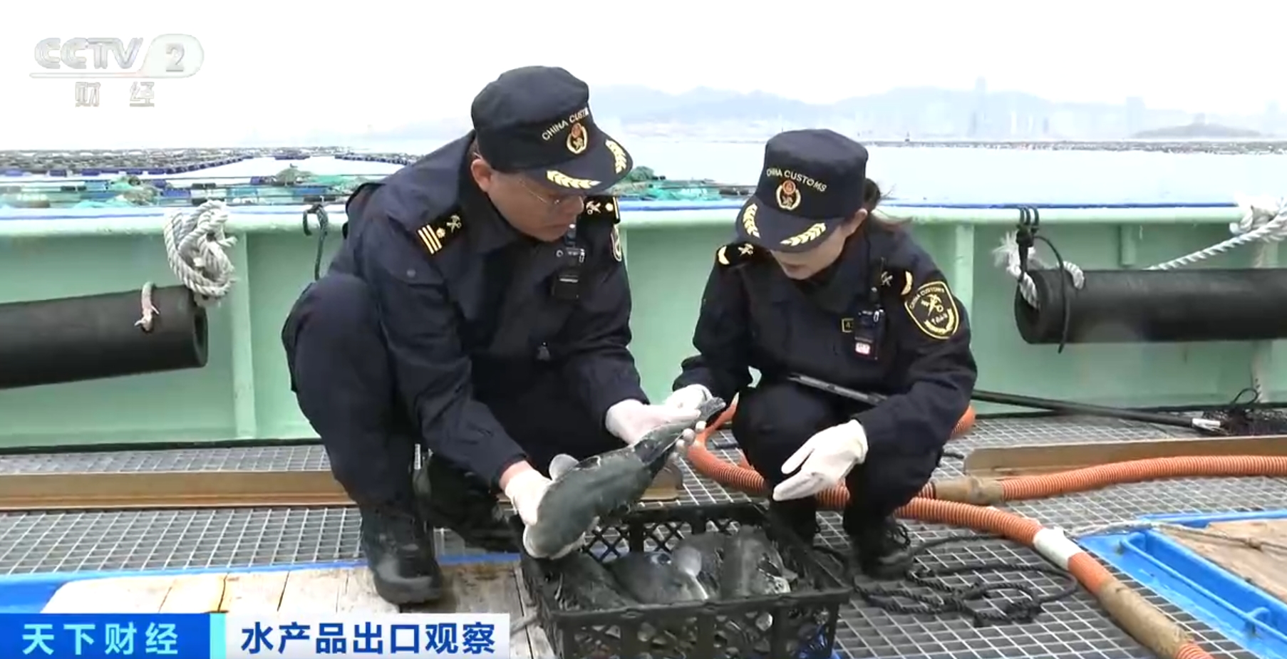 河鲀、牡蛎、虹鳟鱼产销“火热” 我国水产品出口数量同比实现两位数增长(图2)