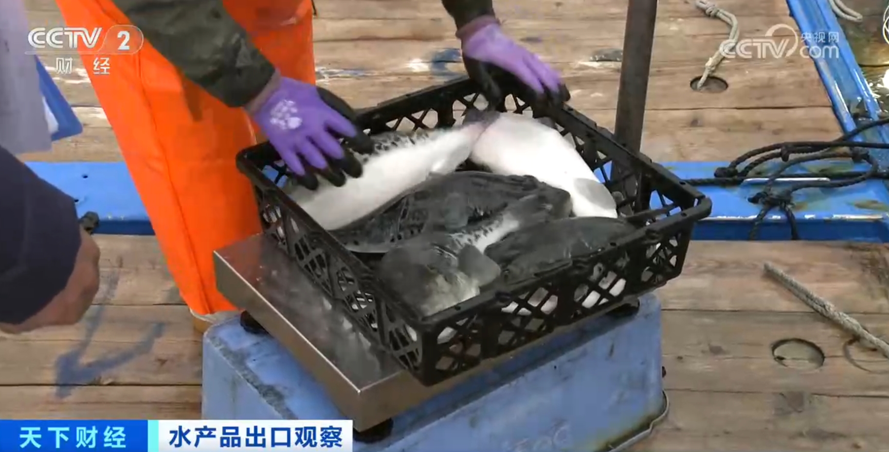 河鲀、牡蛎、虹鳟鱼产销“火热” 我国水产品出口数量同比实现两位数增长(图3)