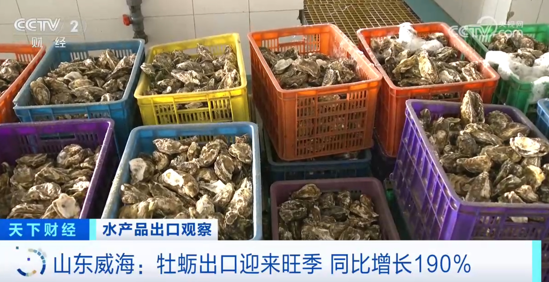 河鲀、牡蛎、虹鳟鱼产销“火热” 我国水产品出口数量同比实现两位数增长(图5)