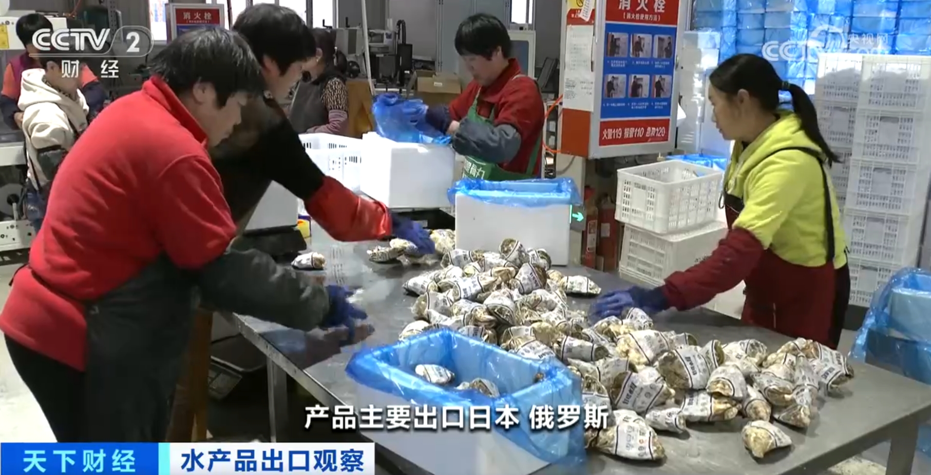 河鲀、牡蛎、虹鳟鱼产销“火热” 我国水产品出口数量同比实现两位数增长(图6)