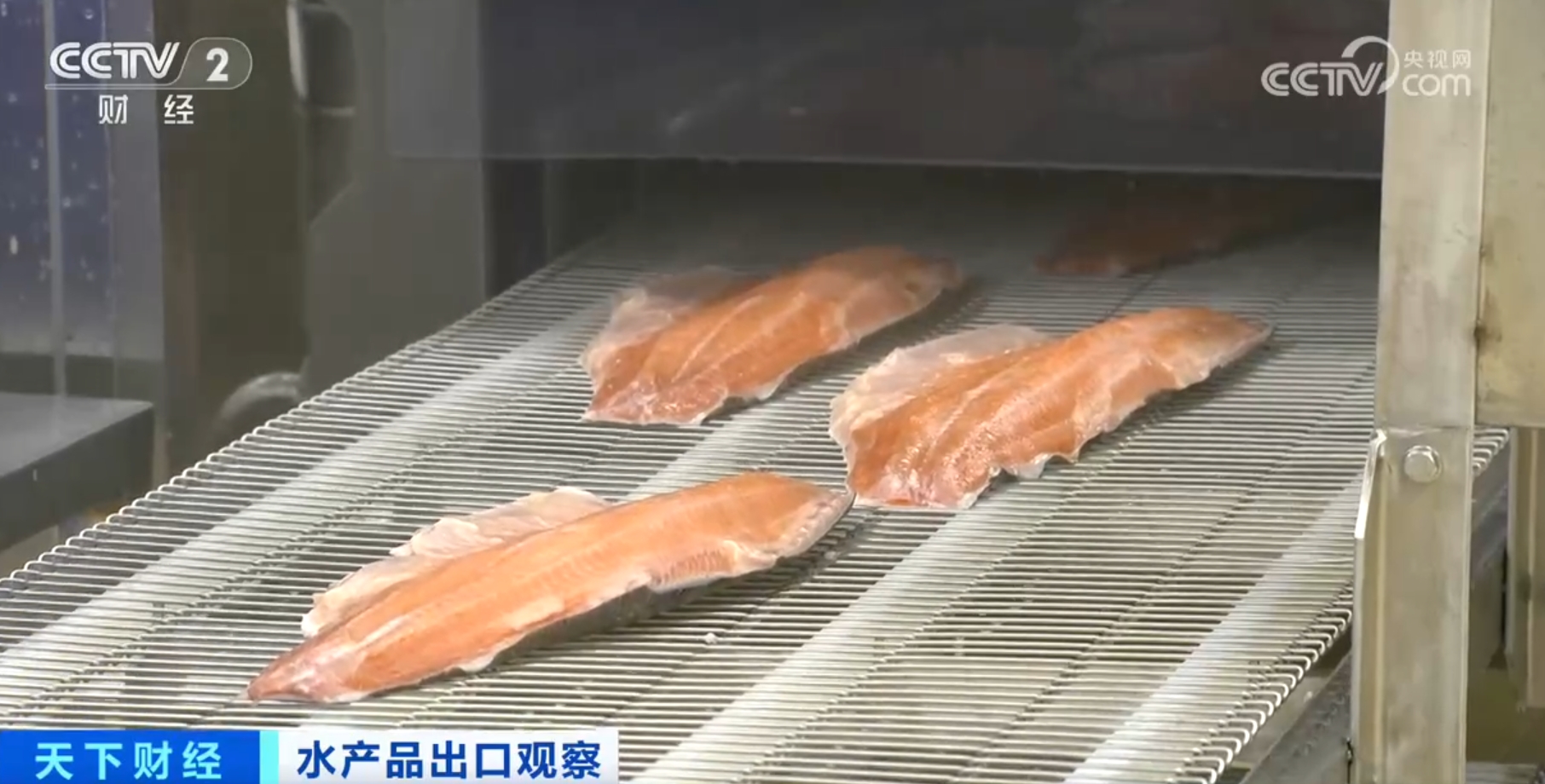 河鲀、牡蛎、虹鳟鱼产销“火热” 我国水产品出口数量同比实现两位数增长(图9)