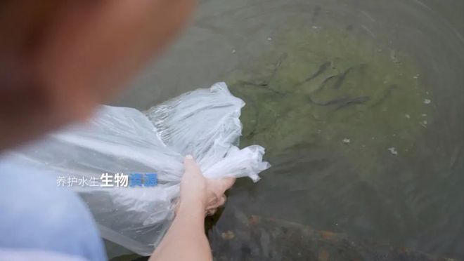 大海的守“蔚”者(图5)