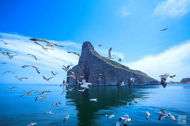 长岛：最典型的温带海洋海岛生态系统(图8)