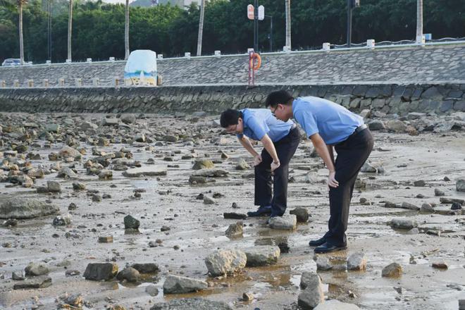 “只此青绿”背后的故事(图4)