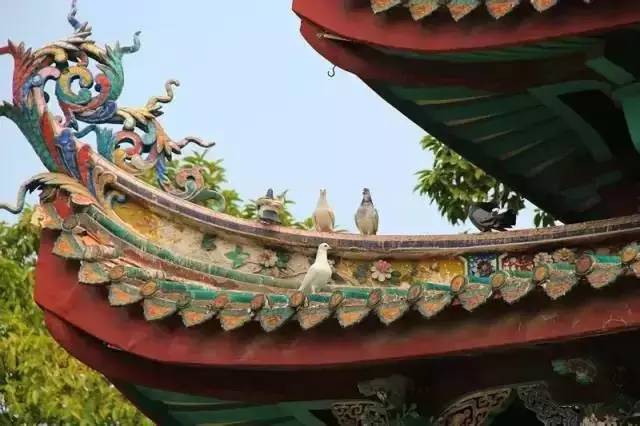 【城市地理】中国最安逸的十座城市最适合养老！高考常考点：发展与乡村发展(图43)