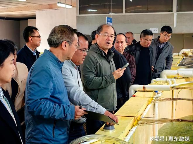 国家一级保护动物黄唇鱼在惠东成功实现全人工繁育(图3)