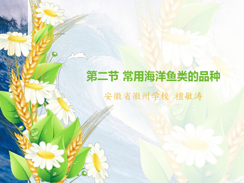 中国主要海洋鱼类名称对照(图4)