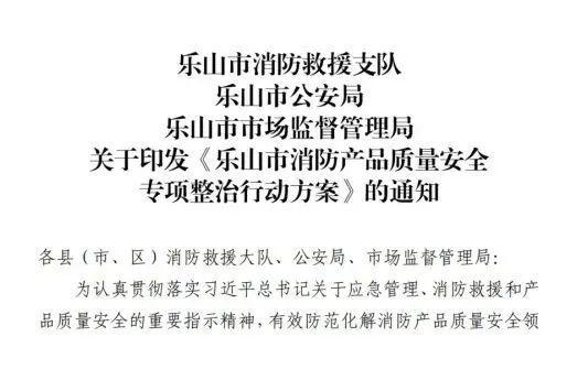 奋楫扬帆行致远 勇立潮头谱新篇｜乐山消防2024年度工作纪实(图8)
