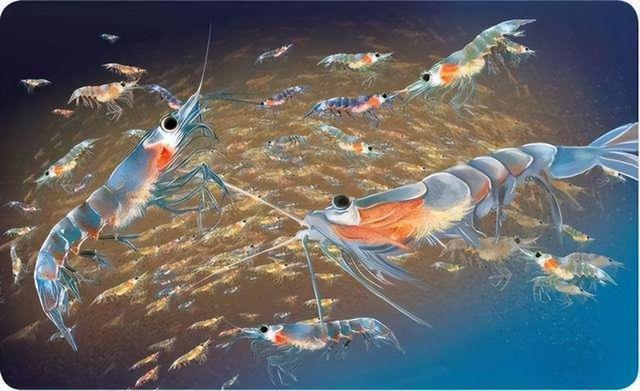 中国又发现“特大宝藏”高达10亿吨养活14亿人丝毫没问题(图3)