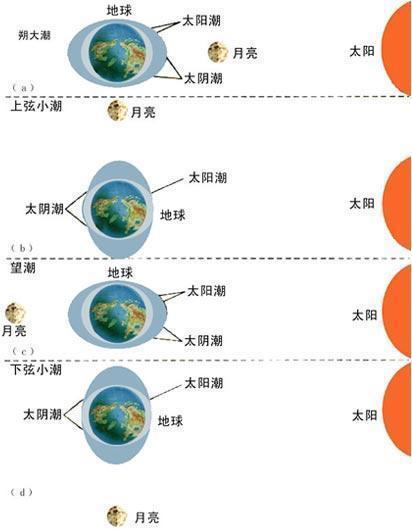 回顾：大海到底有多可怕？发生在海洋里“诡异的危险”有哪些？(图10)