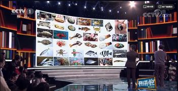 赠书福利 中国海洋生物手绘图鉴：还在为看鱼而不懂鱼发愁？(图2)