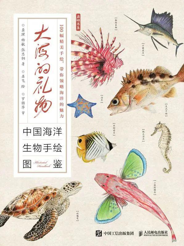 赠书福利 中国海洋生物手绘图鉴：还在为看鱼而不懂鱼发愁？(图8)