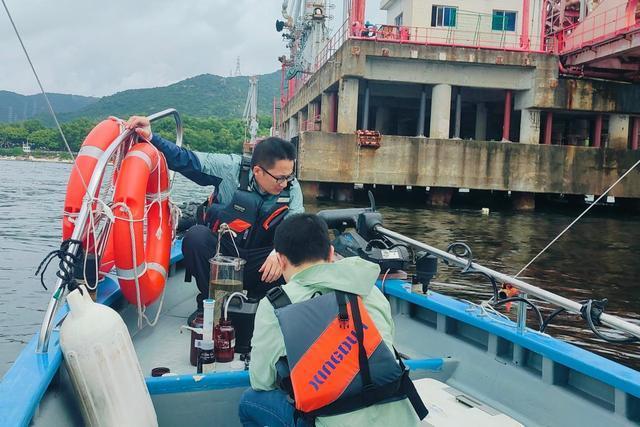深圳海域赤潮未影响鱼类候鸟 持续监测中(图2)