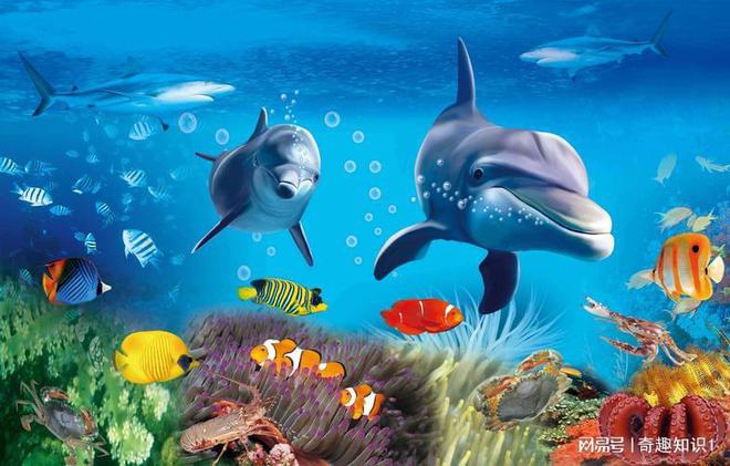 你知道海洋生物吗(图2)