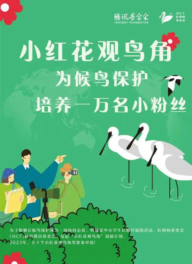 【转载】天津市南开区科技实验小学小红花观鸟角活动年度回顾(图13)