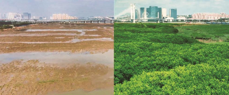 深读 当海洋蓝遇到生态绿(图3)