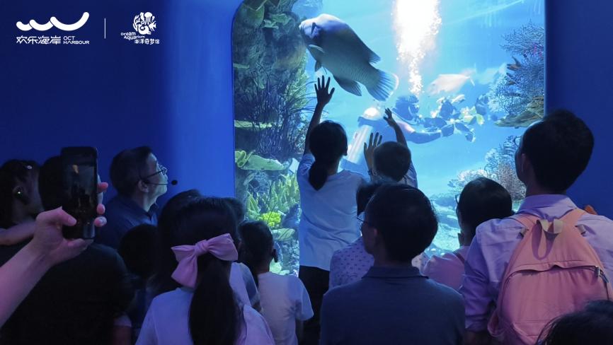 2024深圳国际海洋周休闲海洋活动在欢乐海岸举行(图7)