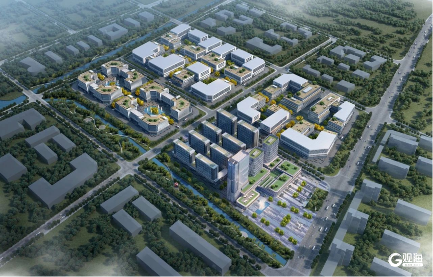 践行经略海洋使命担当 西海岸新区发布2024年海洋领域要闻事件(图2)