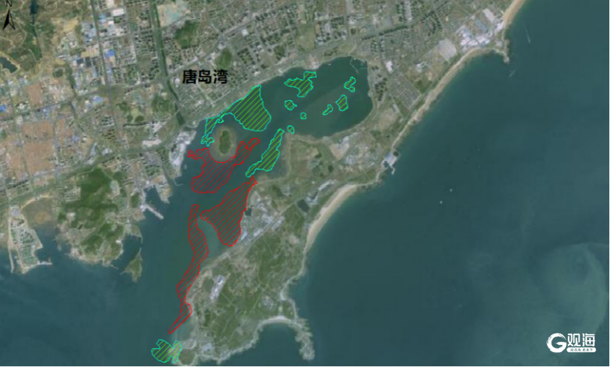 践行经略海洋使命担当 西海岸新区发布2024年海洋领域要闻事件(图13)