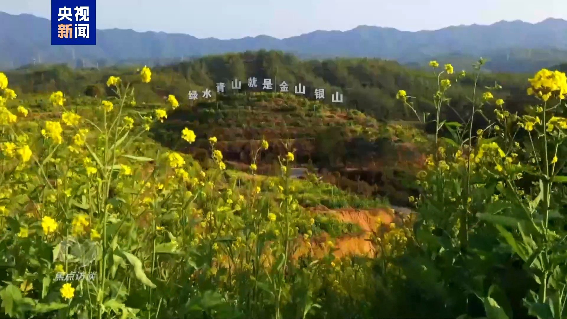 焦点访谈·足迹丨生态筑梦 向美而行(图23)