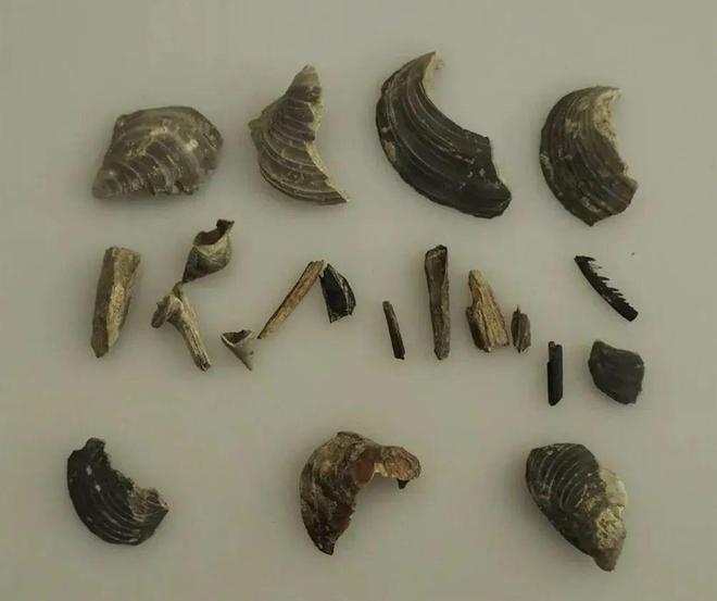 这个周末相约2024年海上丝绸之路国际文化旅游节共品有福之州！(图23)