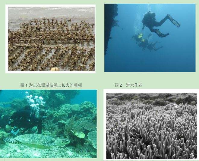 喜报！中国绿发会保护地获2024年度公益项目奖(图2)