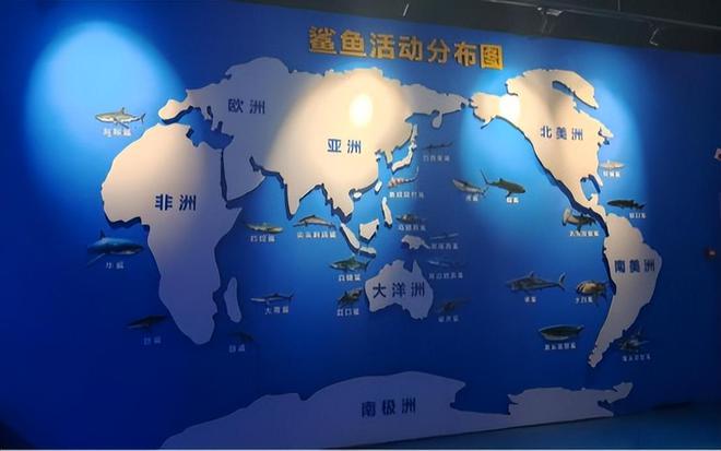 京海海洋萌宠乐园——海狮来啦！(图7)