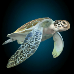 模拟海洋生物游戏-海洋生物模拟游戏推荐-器大全集(图4)