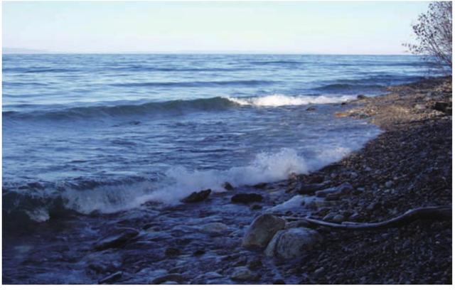 回顾：贝加尔湖距海洋2千公里淡水资源占全球20%为何有海洋生物？(图16)