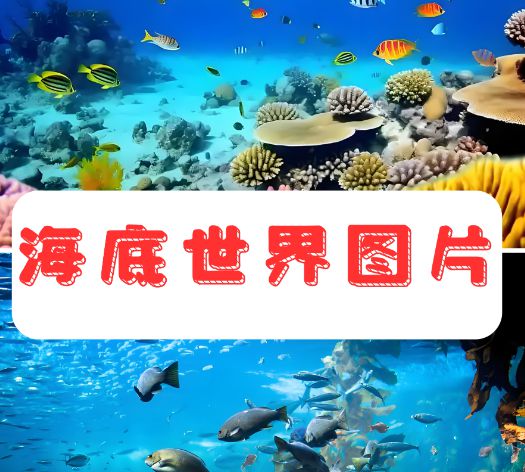 找寻海洋中的生物奇观探索水下世界的神秘与多样(图2)
