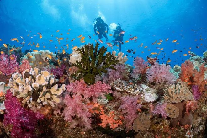 潜水旅行说走就走？免签潜水目的地大盘点！(图5)