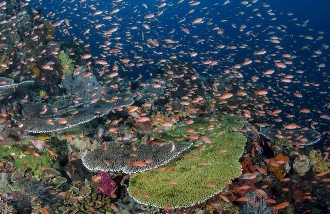 潜水旅行说走就走？免签潜水目的地大盘点！(图12)