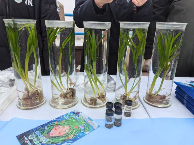 自然资源部北海局成功举办世界海草日科普宣传活动！(图6)
