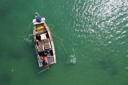 守护“海底草原”：SEE基金会携手多方探讨海草床保护与修复(图2)