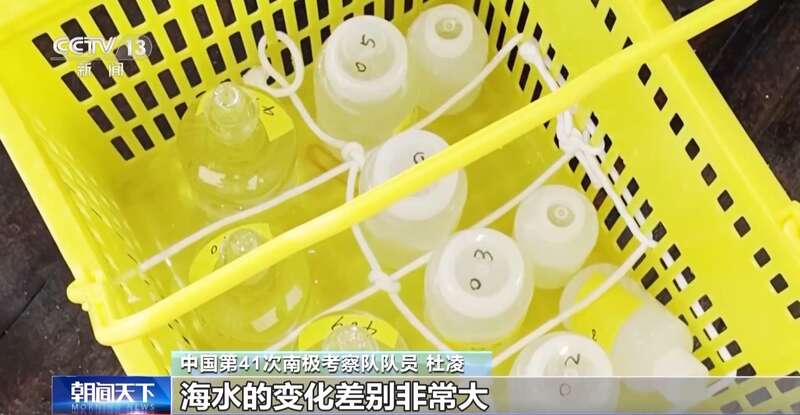 “雪龙2”号大洋考察作业完成 获取丰富海洋生物、水体等样品(图3)