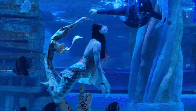 德州海洋馆AI奇遇记丨小美人鱼乐乐的梦幻导览(图4)