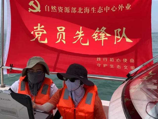 中国海岸线不能没有这种草 地球知识局(图7)
