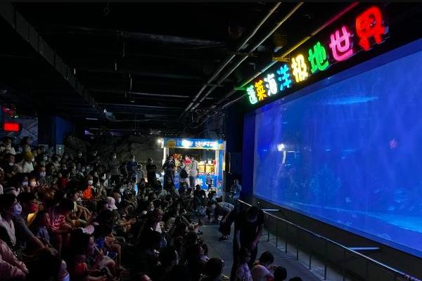 2024蓬莱海洋极地世界门票多少钱(图2)
