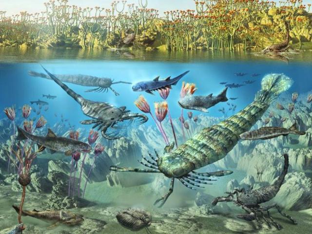回顾科学家：种种迹象已经表明地球也许正进入第六次生物大灭绝？(图3)