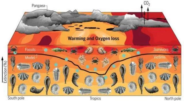回顾科学家：种种迹象已经表明地球也许正进入第六次生物大灭绝？(图4)