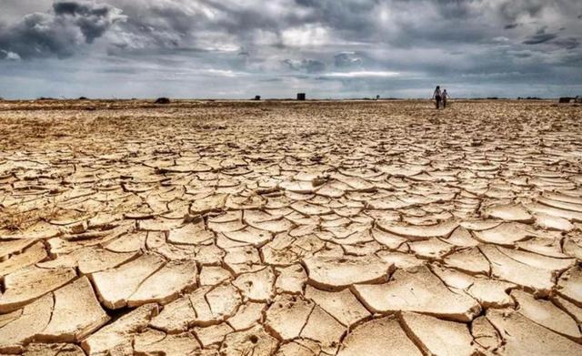 回顾科学家：种种迹象已经表明地球也许正进入第六次生物大灭绝？(图6)