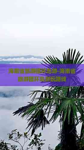 海南省旅游团环岛游-海南省旅游团环岛游玩路线(图3)