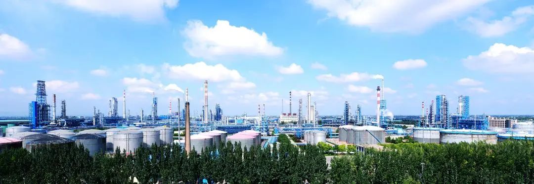 潍坊：培育海洋领域新质生产力 塑造海洋经济发展新优势(图4)