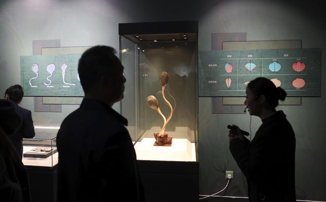 210件珍贵化石与模型再现寒武纪澄江生物群独特魅力(图2)