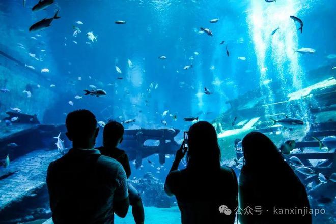 小黄人乐园、雨林探险园、迪士尼游轮新加坡一波新景点即将开放赶快码住(图7)
