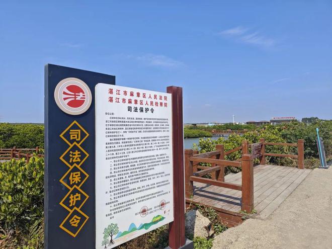 这里“森森”不息！(图6)